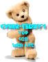 Cyber Teddy Top 500